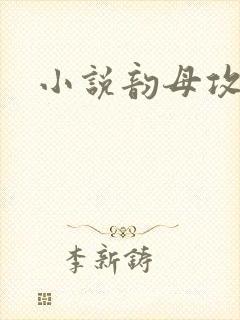 小说韵母攻略封面