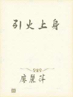 引火上身封面