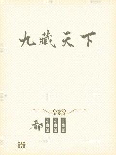 九藏天下