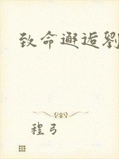 致命邂逅刘小寐