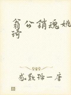 翁公销魂姚瑶琦琦