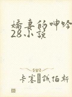 娇妻的呻吟1—28小说