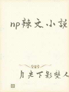 np辣文小说