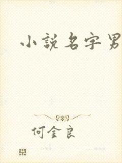 小说名字男生