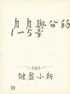 月月与公的激情1一5章