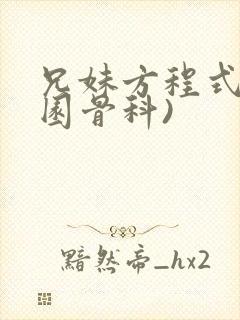 兄妹方程式(校园骨科)