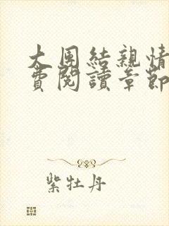 大团结亲情会免费阅读章节