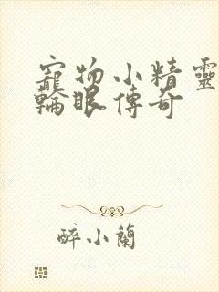 宠物小精灵之写轮眼传奇