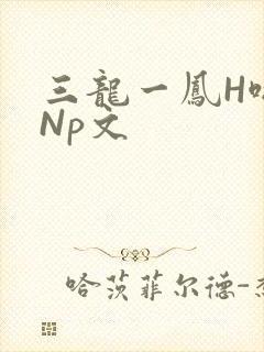 三龙一凤H啪肉Np文