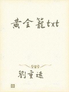 黄金笼txt封面
