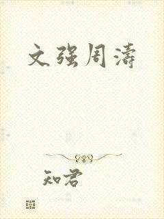 文强周涛