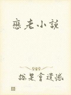 恋老小说
