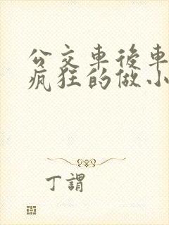 公交车后车座的疯狂的做小