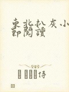 东北扒灰小说分节阅读封面