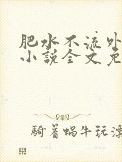 肥水不流外人田小说全文免费阅读1封面