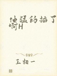 他猛的插了进去啊H