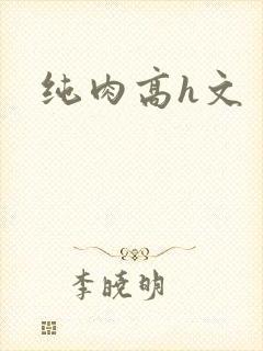 纯肉高h文