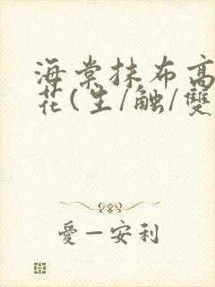 海棠抹布高岭之花(生/触/双)封面