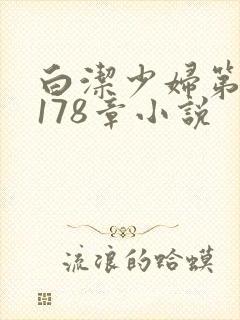 白洁少妇第1一178章小说封面