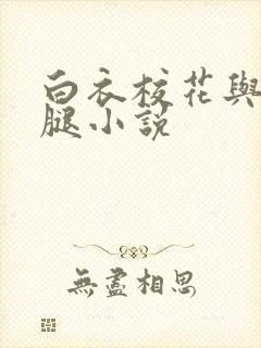 白衣校花与大长腿小说