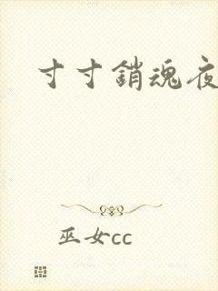 寸寸销魂夜春光