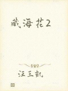 藏海花2