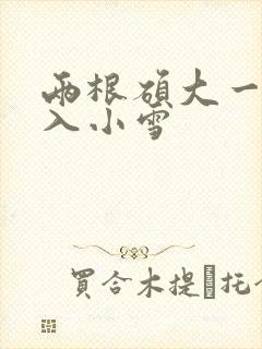 两根硕大一起挤入小雪