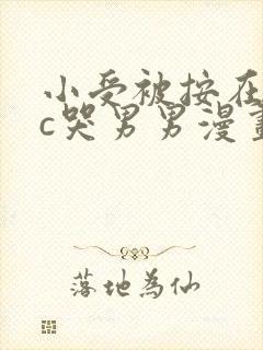 小受被按在墙上c哭男男漫画