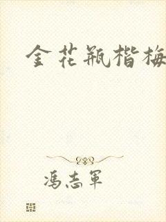 金花瓶楷梅花2封面