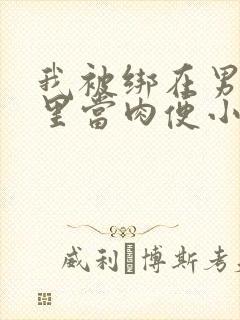 我被绑在男公厕里当肉便小说