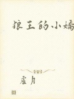 狼王的小娇妻