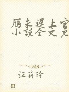 雁未迟上官穿越小说全文免费阅读封面