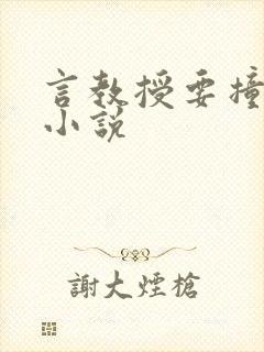 言教授要撞坏了小说