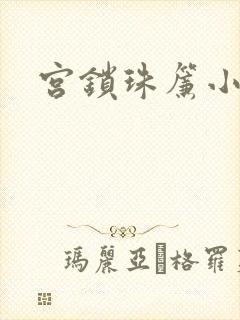 宫锁珠帘小说封面