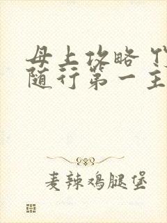 母上攻略 竹影随行第一主板