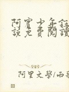 阿宾少年钰慧小说免费阅读笔趣阁