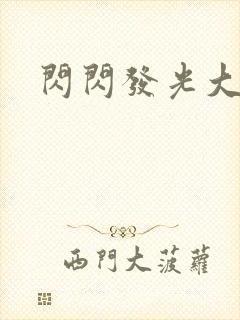 闪闪发光大团结封面