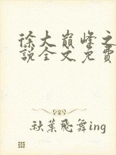 徐大巅峰之路小说全文免费阅读封面