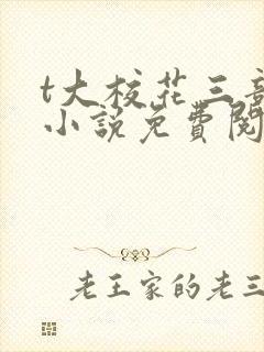 t大校花三部曲小说免费阅读全文