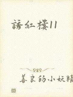 诱红楼11