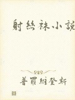 射丝袜小说