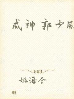 成神 郭少风封面