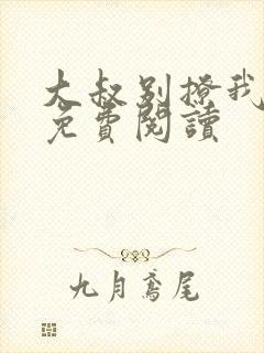 大叔别撩我小说免费阅读