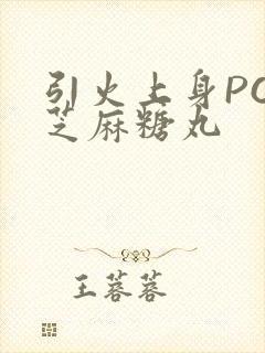 引火上身POP芝麻糖丸