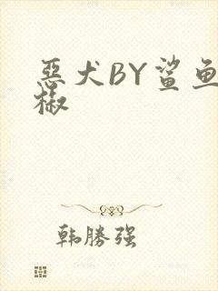 恶犬BY鲨鱼辣椒