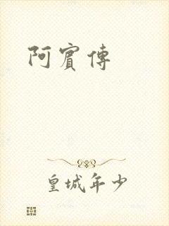 阿宾传
