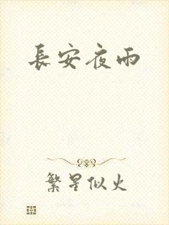长安夜雨