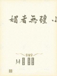 媚者无疆 小说封面