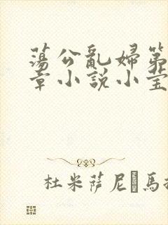 荡公乱妇第51章小说小莹