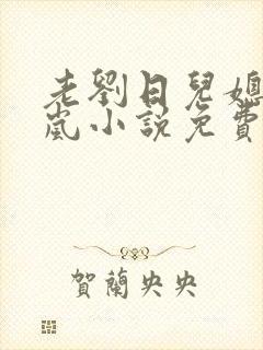 老刘日儿媳妇张岚小说免费阅读